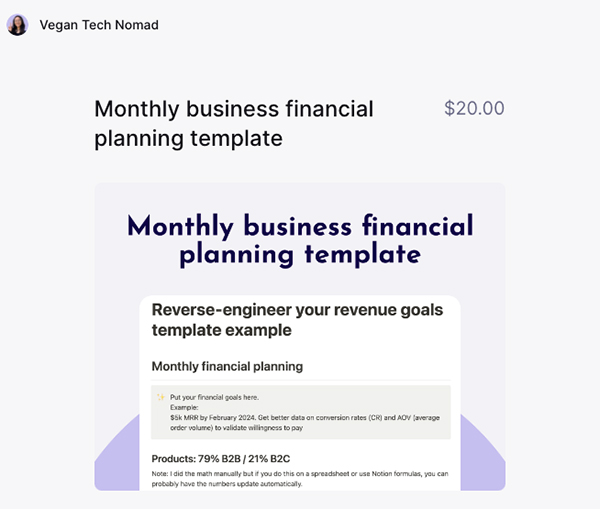 vegantechnomad monthly financial planning template